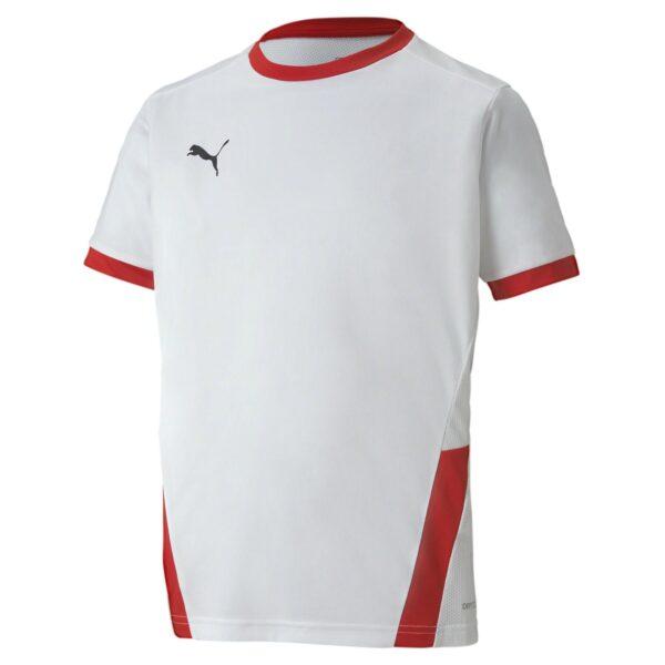 Maillot Teamgoal Jersey