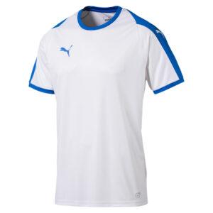 Maillot TeamLIGA Jersey