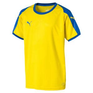 Maillot TeamLIGA Jersey JR