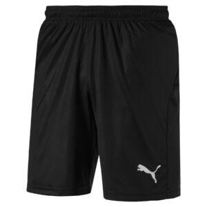 puma_703436-03_1_nw23 Short Liga Core