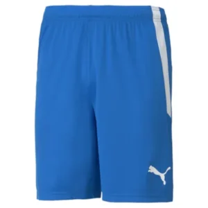 puma__pum-704924-02__imagefront Shorts TeamLIGA